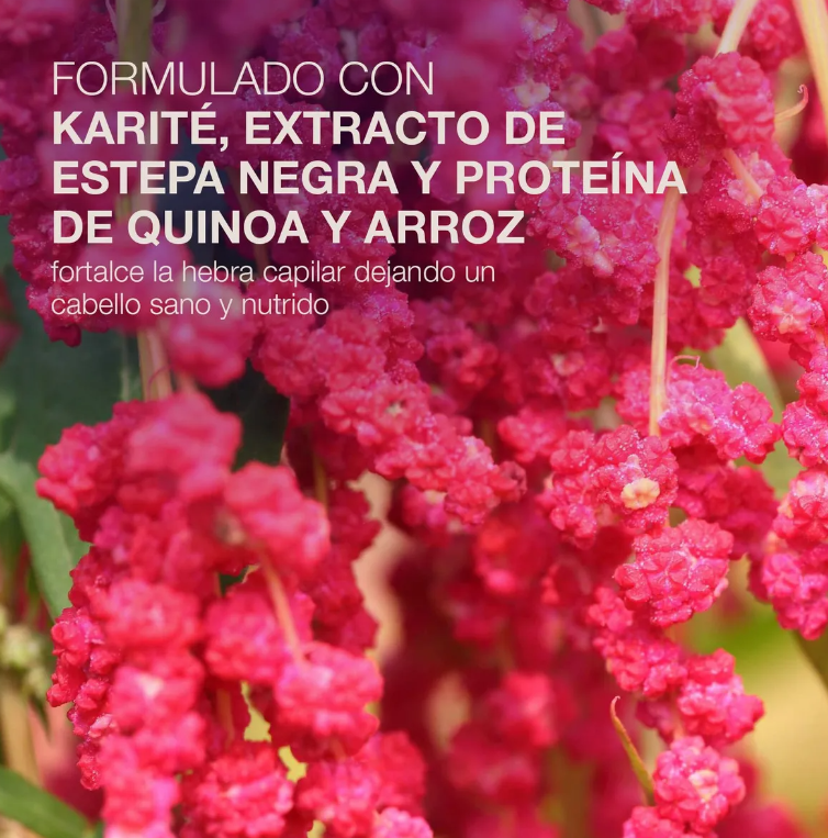 Tratamiento Fortalecedor 3D Healer 300 ml - NBC