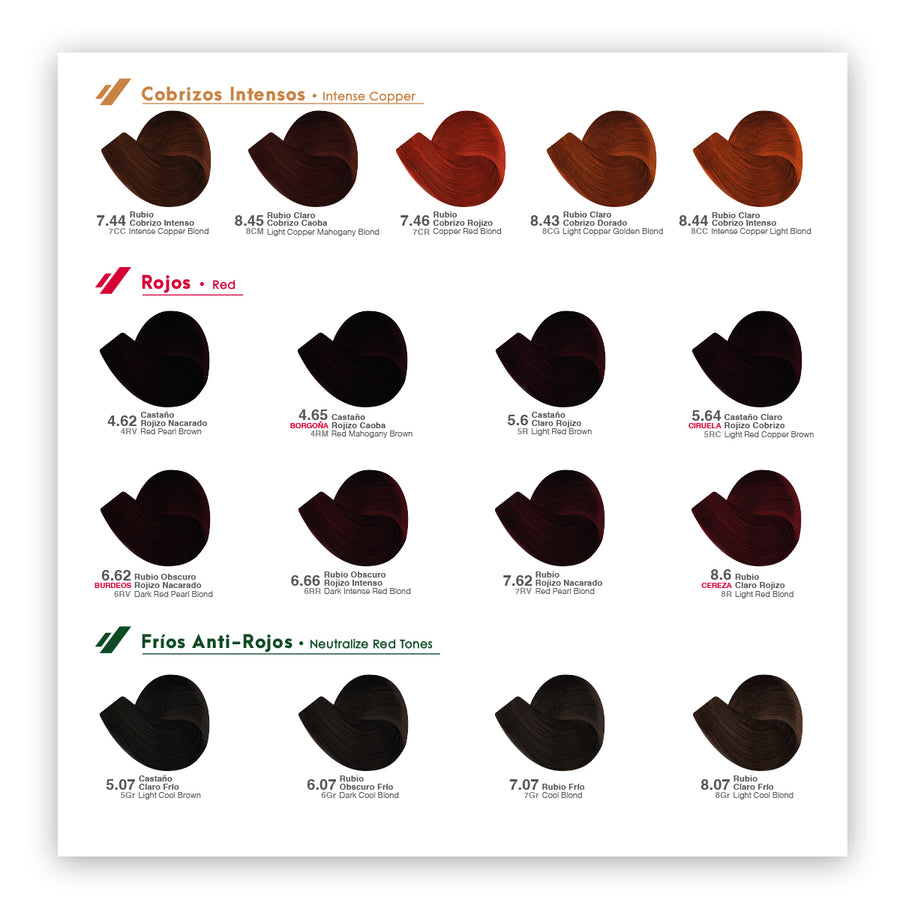 Gama de Colores Color Tech Nutrapel – Distribuidora Alhóndiga